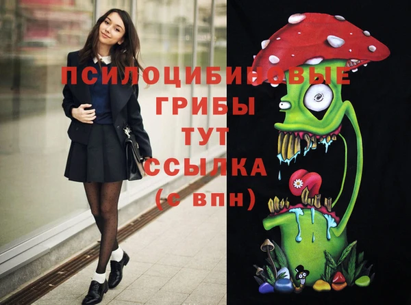 гашик Лиски