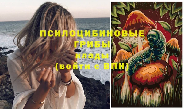 ешки Абаза