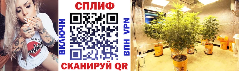 Бошки марихуана LSD WEED  hydra онион  Осташков  закладка 